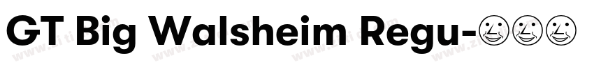 GT Big Walsheim Regu字体转换